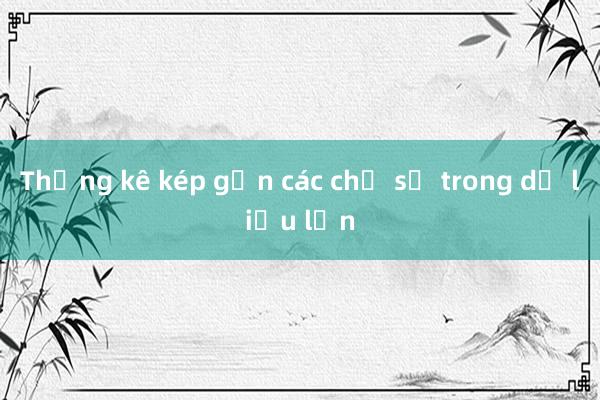 Thống kê kép gần các chỉ số trong dữ liệu lớn