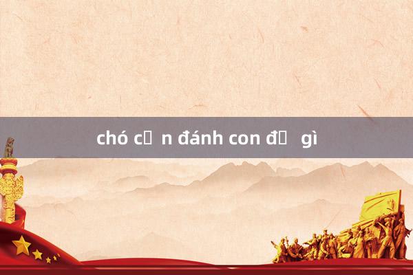 chó cắn đánh con đề gì