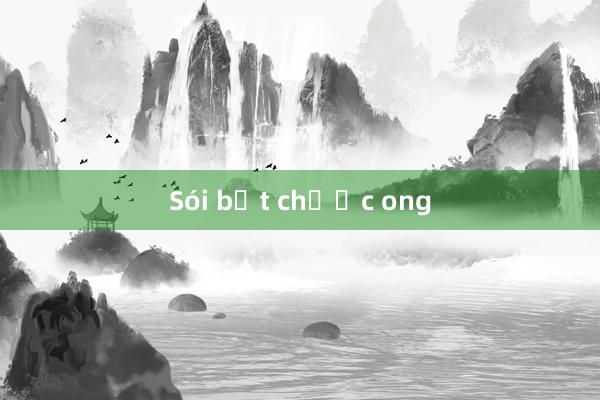 Sói bắt chước ong