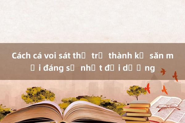 Cách cá voi sát thủ trở thành kẻ săn mồi đáng sợ nhất đại dương