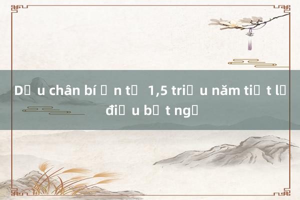 Dấu chân bí ẩn từ 1，5 triệu năm tiết lộ điều bất ngờ