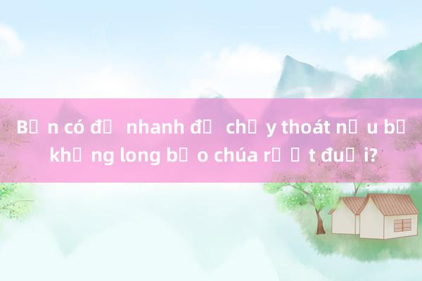 Bạn có đủ nhanh để chạy thoát nếu bị khủng long bạo chúa rượt đuổi?