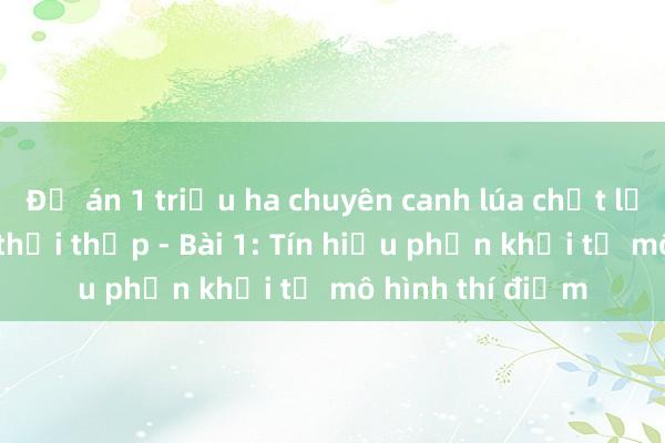 Đề án 1 triệu ha chuyên canh lúa chất lượng cao， phát thải thấp - Bài 1: Tín hiệu phấn khởi từ mô hình thí điểm